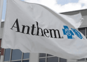 A white flag with the Anthem logo fluttering outdoors.